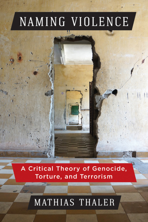 Cover image for book Naming Violence
