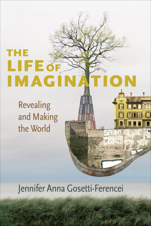 Cover image for book The Life of Imagination