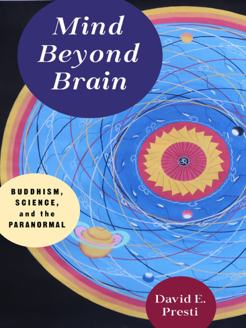 Cover image for book Mind Beyond Brain