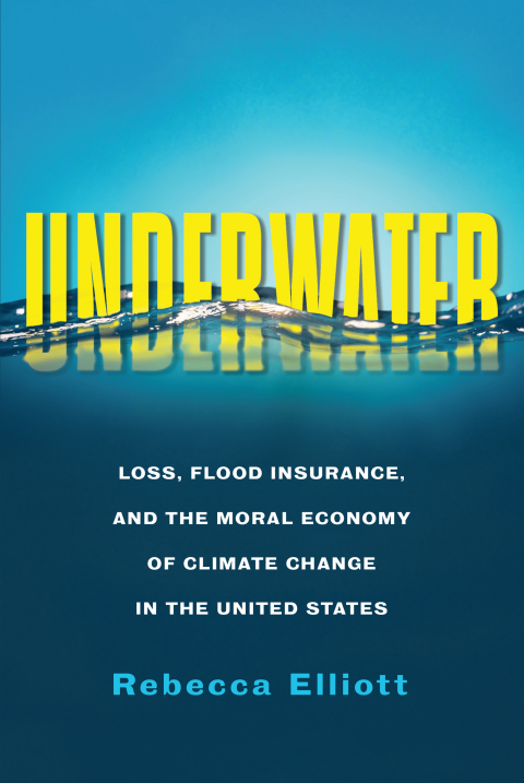Cover image for book Underwater