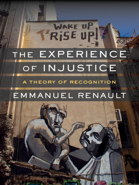 Cover image for book The Experience of Injustice