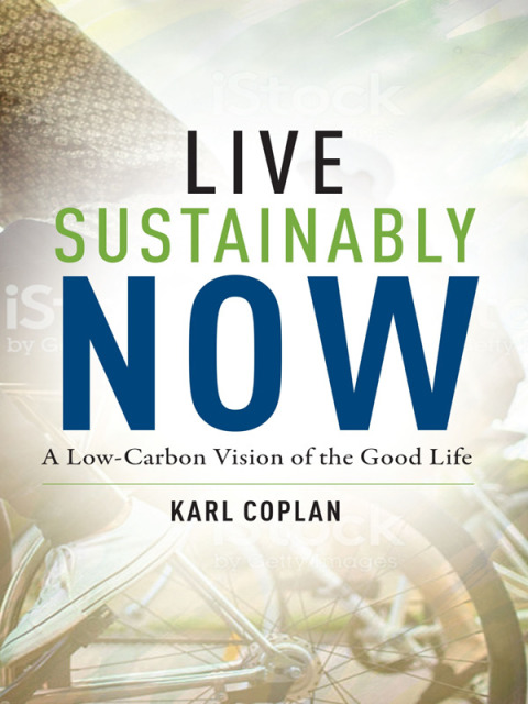 Cover image for book Live Sustainably Now