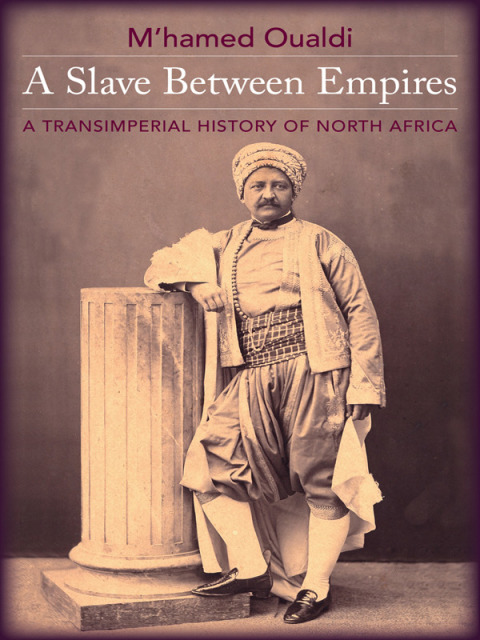 Cover image for book A Slave Between Empires