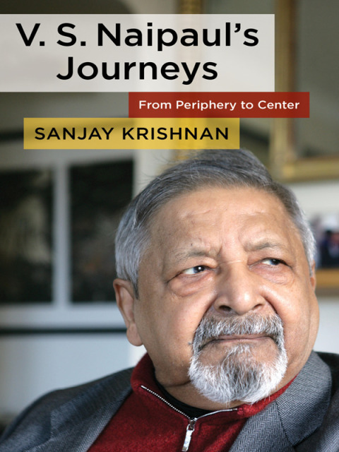 Cover image for book V. S. Naipaul's Journeys