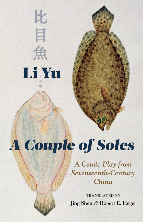 Cover image for book A Couple of Soles