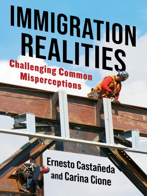 Cover image for book Immigration Realities