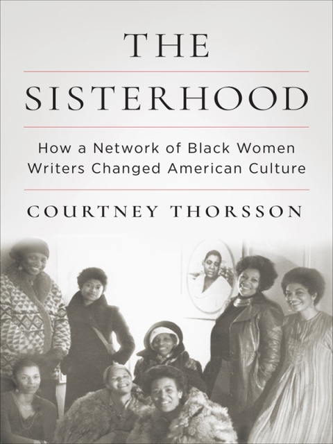 Cover image for book The Sisterhood