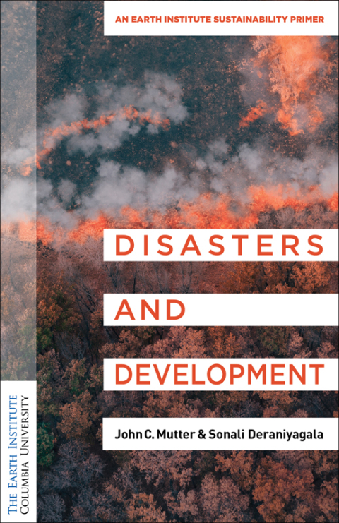 Cover image for book Disasters and Development