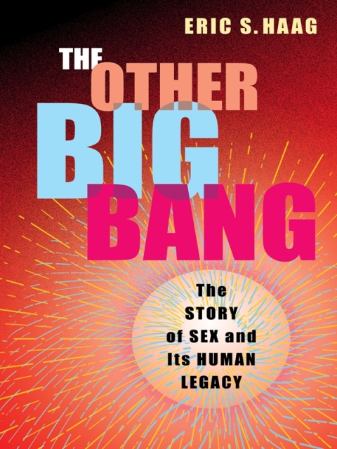 Cover image for book The Other Big Bang
