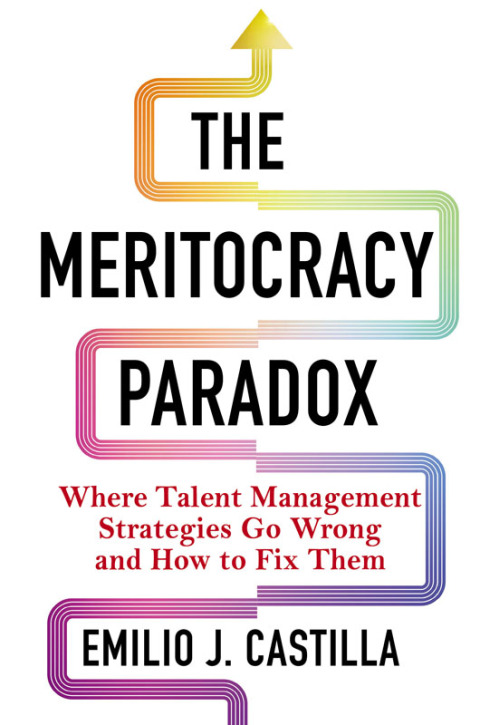 Cover image for book The Meritocracy Paradox