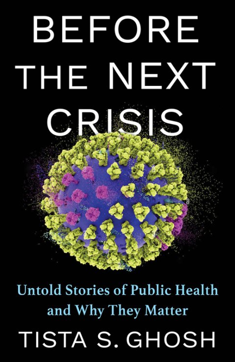 Cover image for book Before the Next Crisis