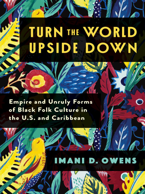 Cover image for book Turn the World Upside Down