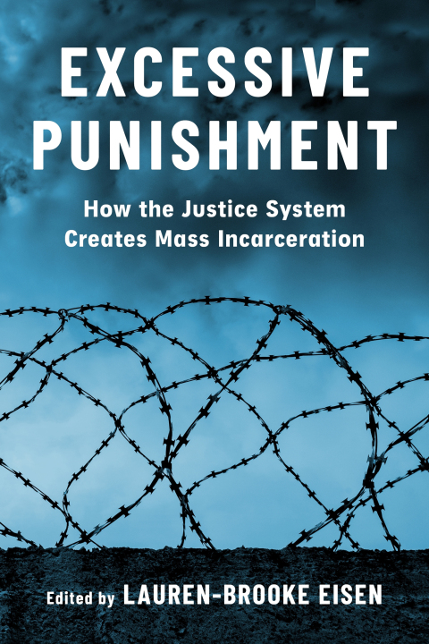 Cover image for book Excessive Punishment