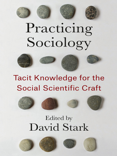 Cover image for book Practicing Sociology