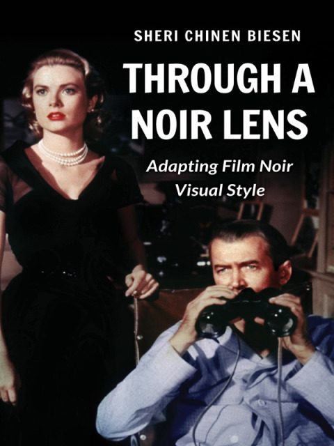 Cover image for book Through a Noir Lens