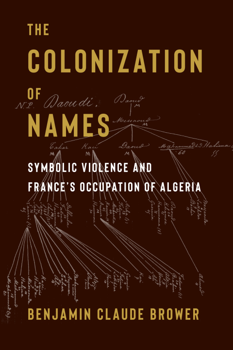 Cover image for book The Colonization of Names