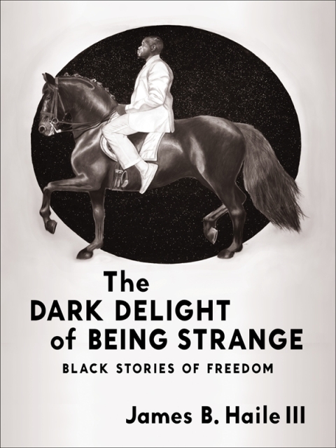 Cover image for book The Dark Delight of Being Strange