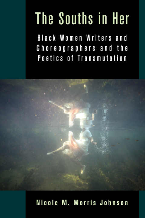 Cover image for book The Souths in Her
