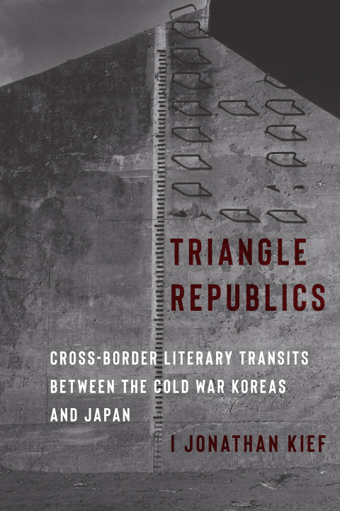 Cover image for book Triangle Republics