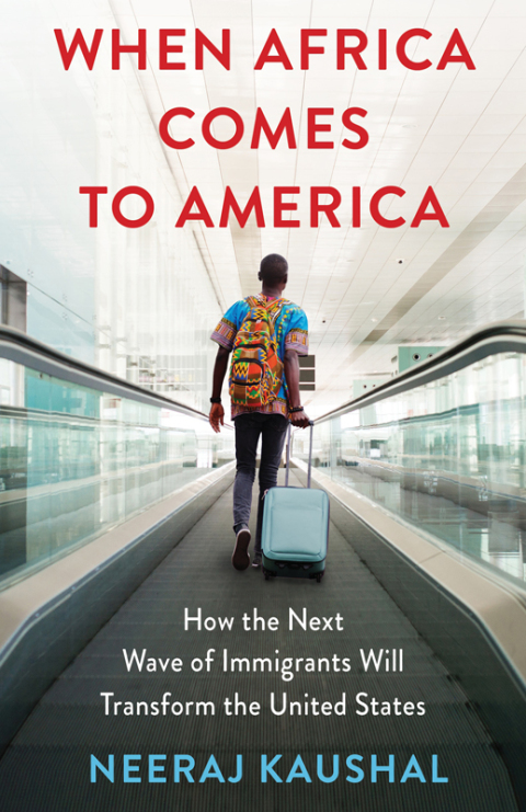 Cover image for book When Africa Comes to America