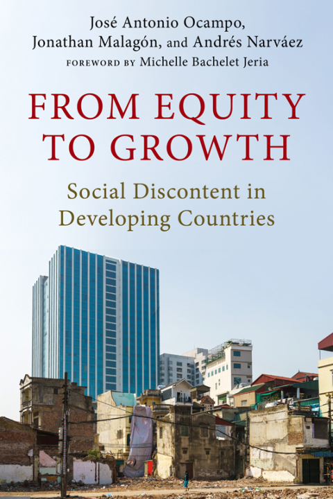 Cover image for book From Equity to Growth