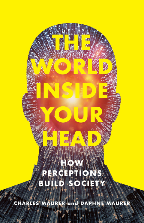 Cover image for book The World Inside Your Head