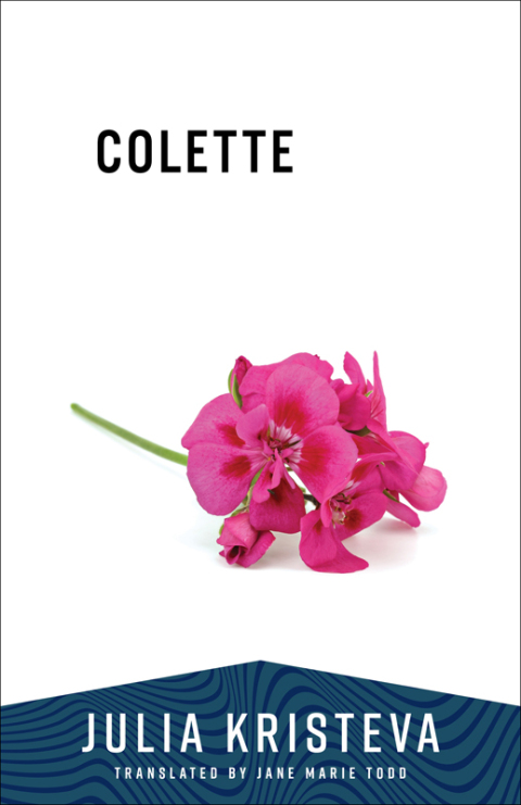 Cover image for book Colette