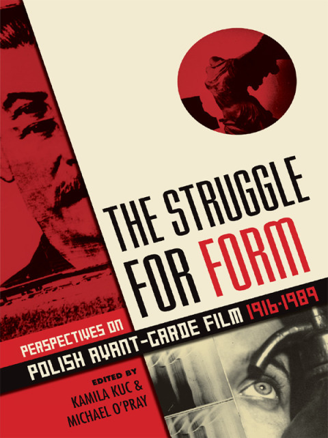Cover image for book The Struggle for Form
