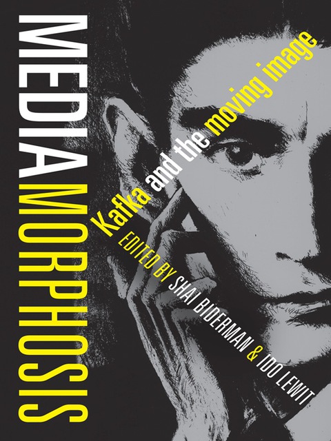 Cover image for book Mediamorphosis