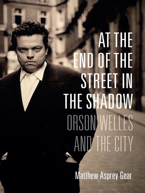 Cover image for book At the End of the Street in the Shadow