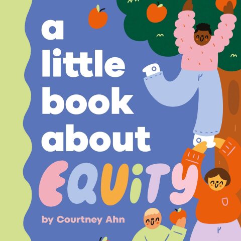 Cover image for book A Little Book About Equity