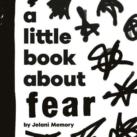 Cover image for book A Little Book About Fear