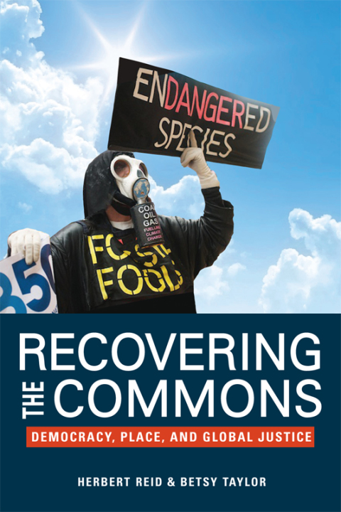 Cover image for book Recovering the Commons