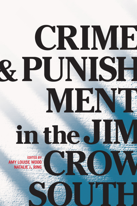 Cover image for book Crime and Punishment in the Jim Crow South
