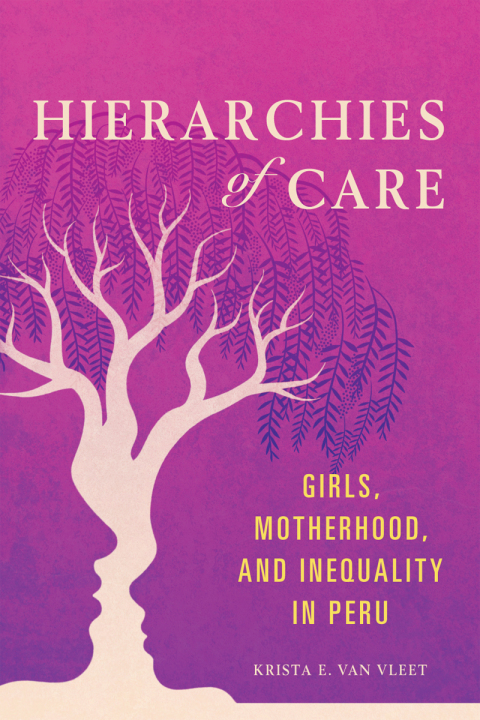 Cover image for book Hierarchies of Care