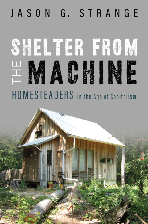 Cover image for book Shelter from the Machine