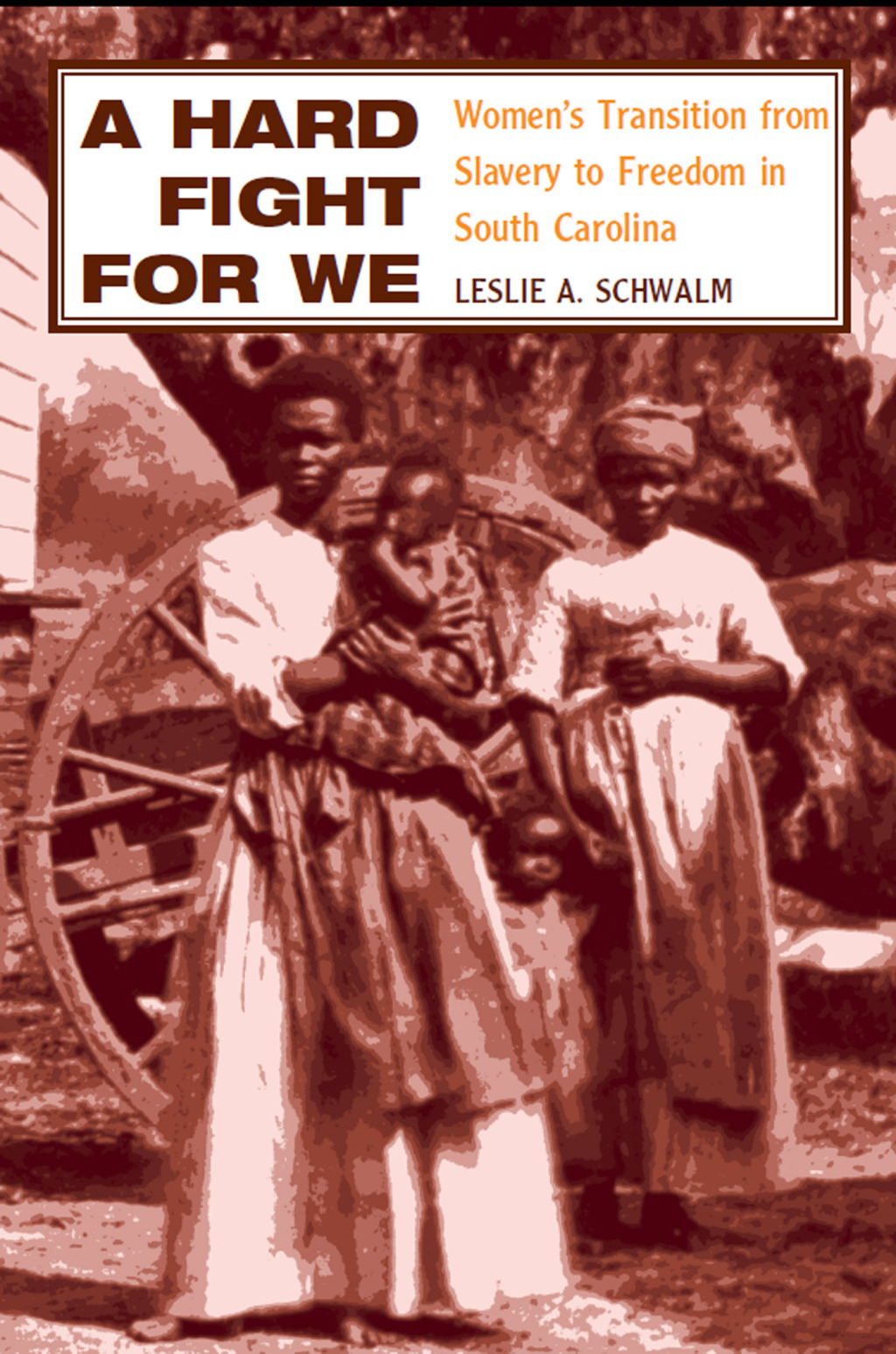 A Hard Fight for We (eBook) - Leslie A. Schwalm,
