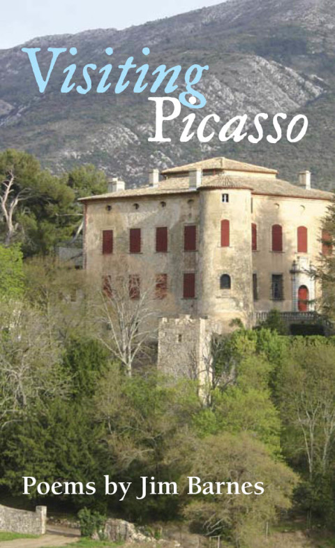 Cover image for book Visiting Picasso