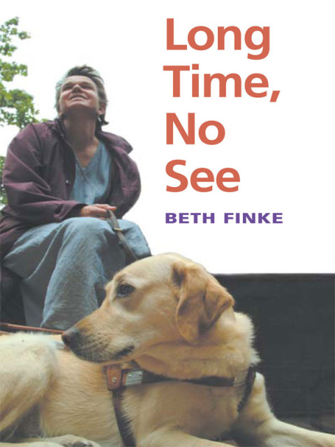 Cover image for book Long Time, No See