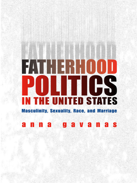 Cover image for book Fatherhood Politics in the United States