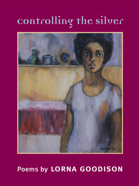 Cover image for book Controlling the Silver