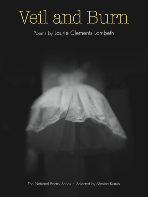 Cover image for book Veil and Burn