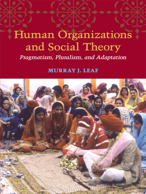 Cover image for book Human Organizations and Social Theory