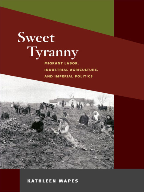 Cover image for book Sweet Tyranny