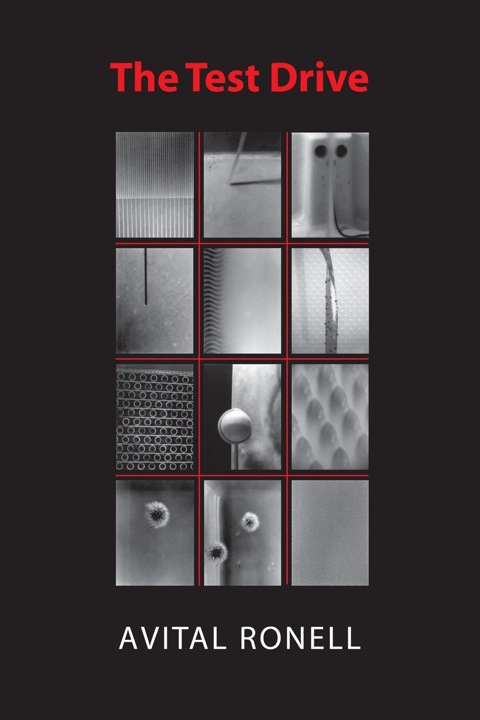 Cover image for book The Test Drive