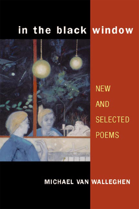 Cover image for book In the Black Window