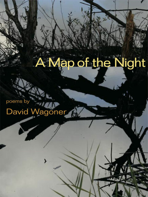 Cover image for book A Map of the Night