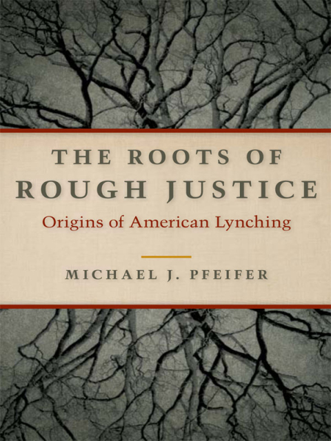 Cover image for book The Roots of Rough Justice