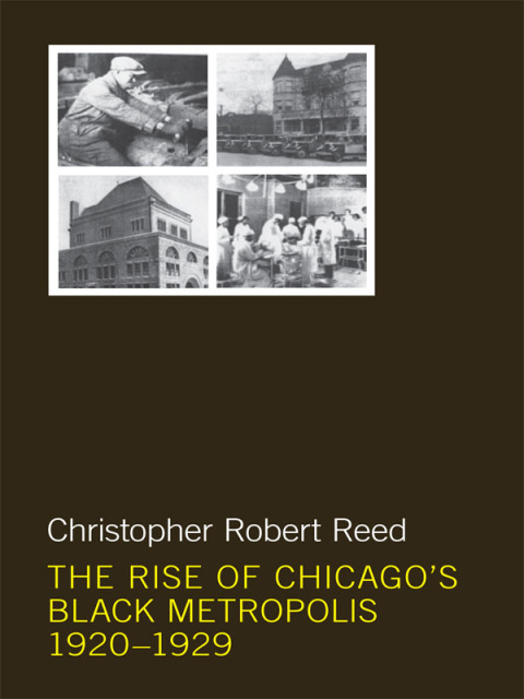 Cover image for book The Rise of Chicago's Black Metropolis, 1920-1929