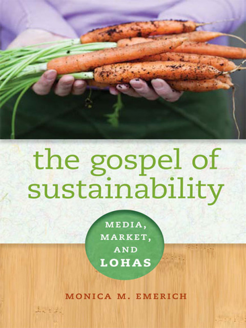 Cover image for book The Gospel of Sustainability